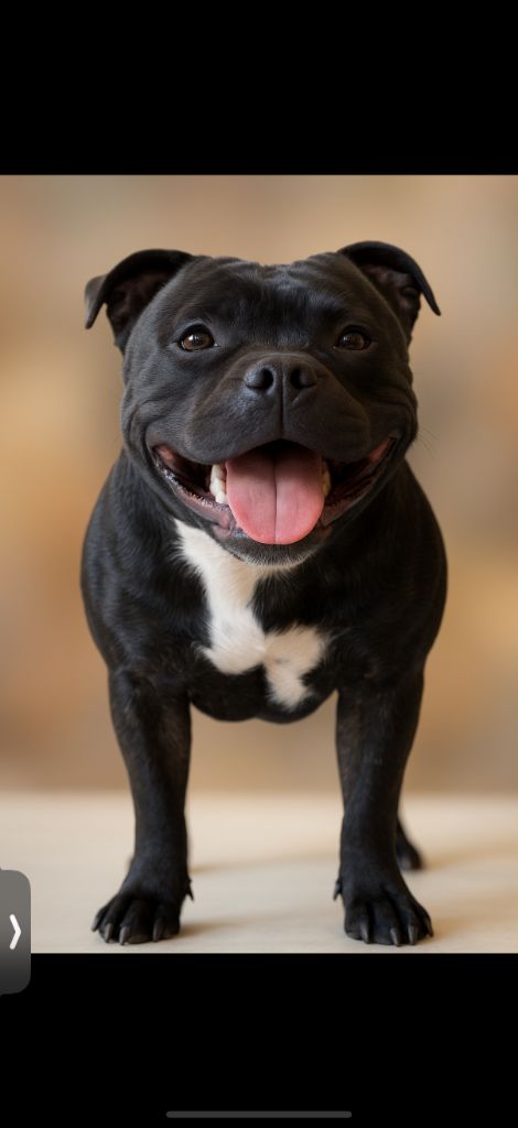 Teva Du Hameau Des Diablotins